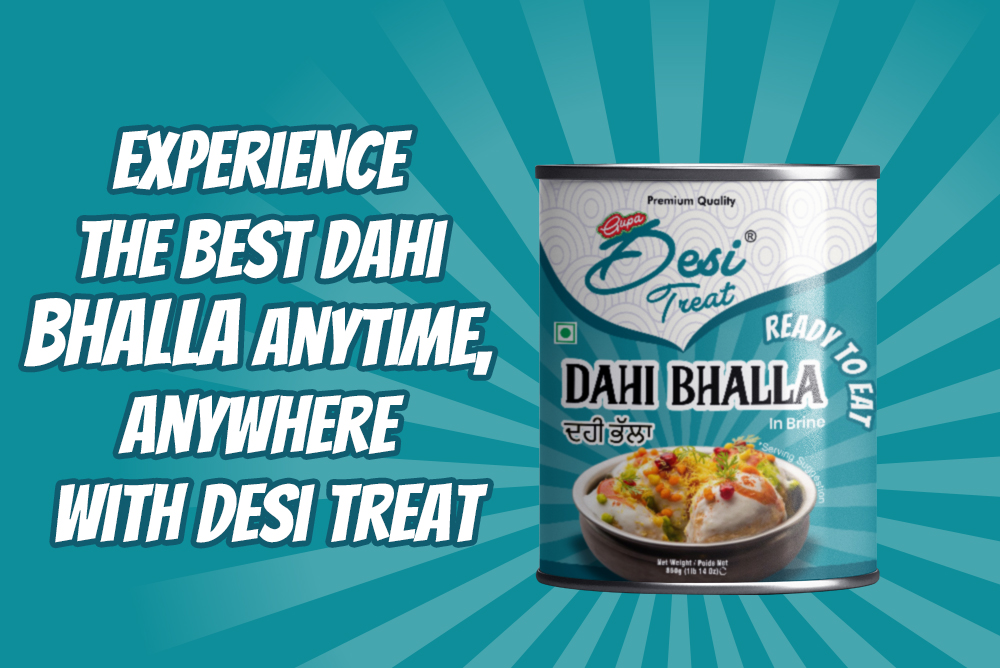 Desi Treat Canned Dahi bhalla