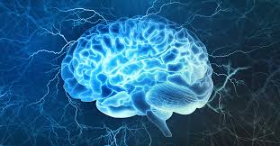 neuromarketing