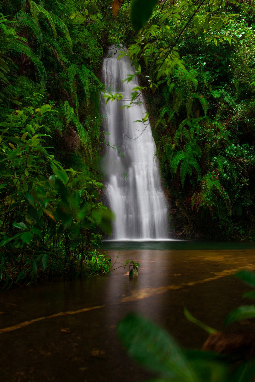 tour packages to shillong