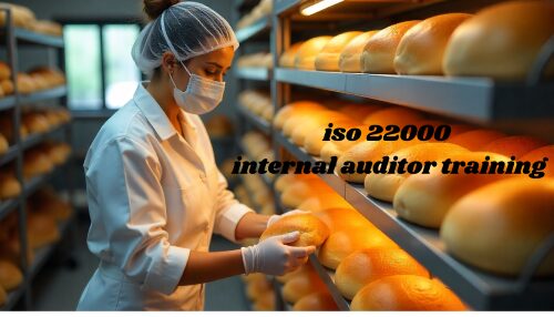 u3647-iso-22000-internal-auditor-training-22