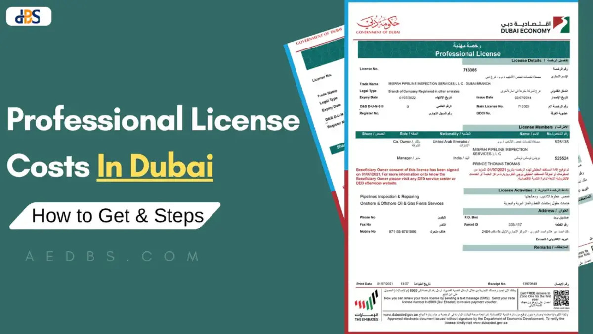 u3786-professional-license-in-dubai-ua