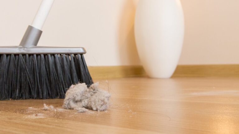 u3812-Your-paragraph-text-2025-10-10T173952.592