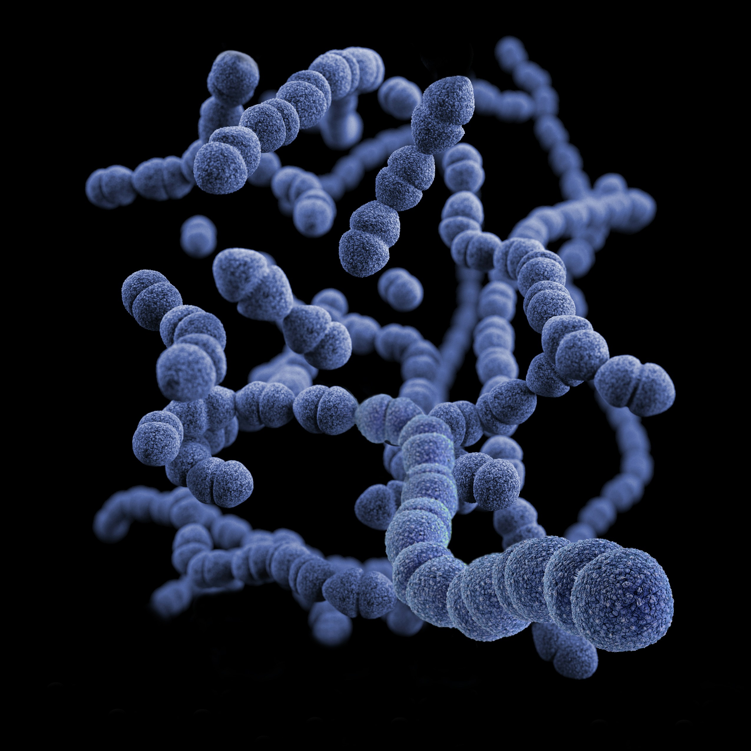 u3878-cdc-QEU-QgIOJKA-unsplash