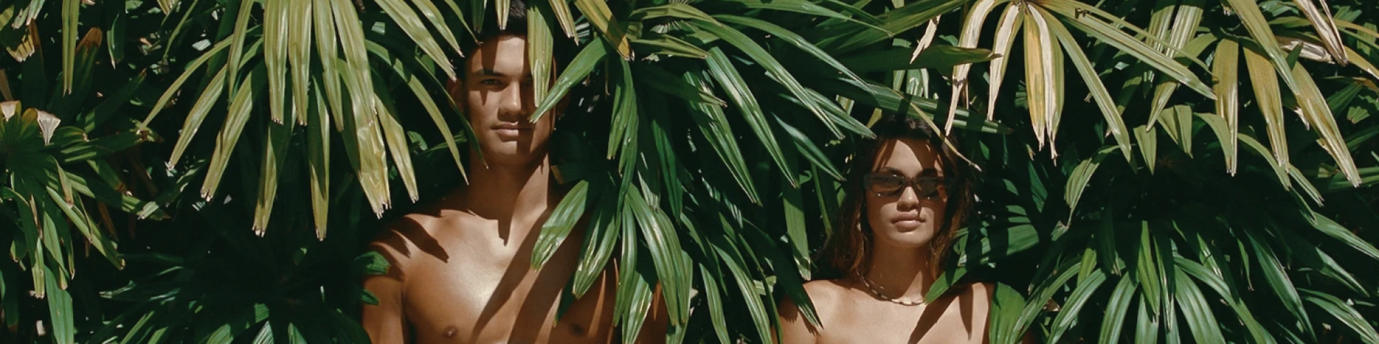 u4185-screenshot_2024-10-22_at_19_34_05.2000x500