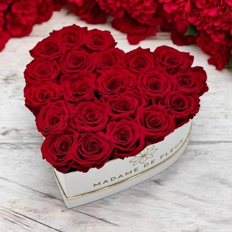 u4361-2507DD24-074E-41D7-8122-F9AC3DEA9870-1