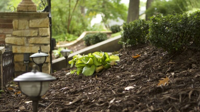 u4382-landscaping-lakeville-MN1