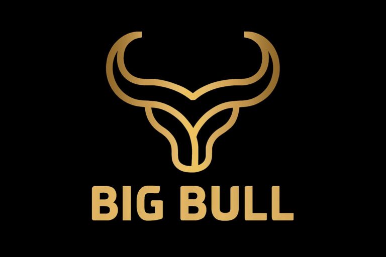 Bigbull-Banner-Logo-1