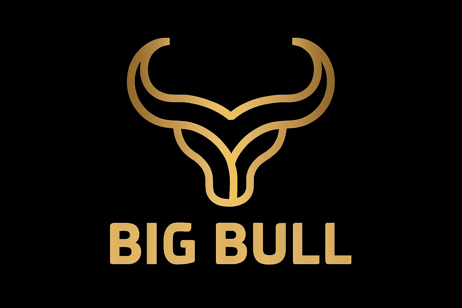 Bigbull-Banner-Logo-1