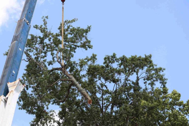 imgi_13_IMG_0338-2-2048x1365-2