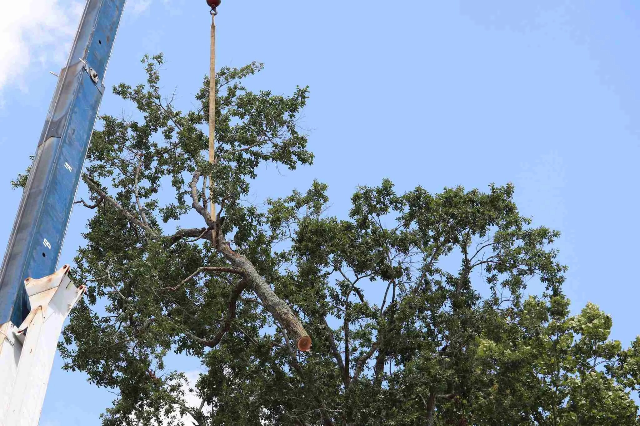 imgi_13_IMG_0338-2-2048x1365-2