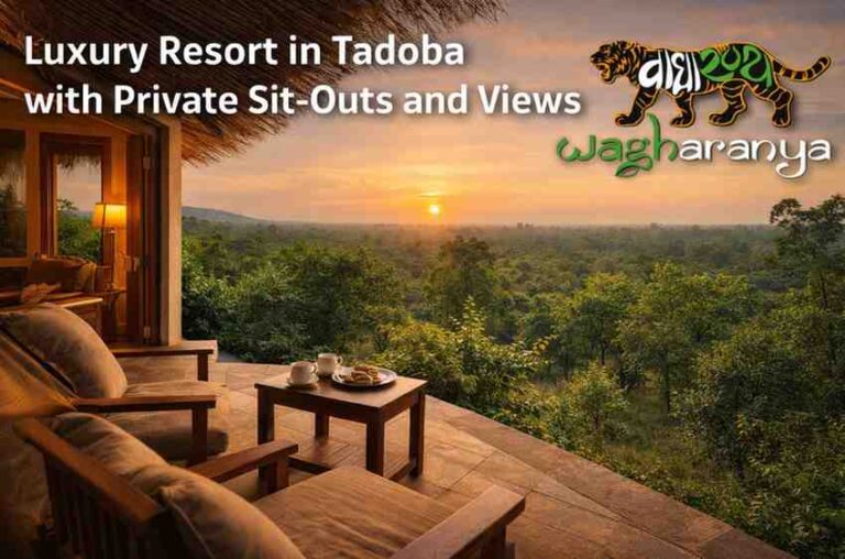 ChatGPTImageFeb5202603_03_02P