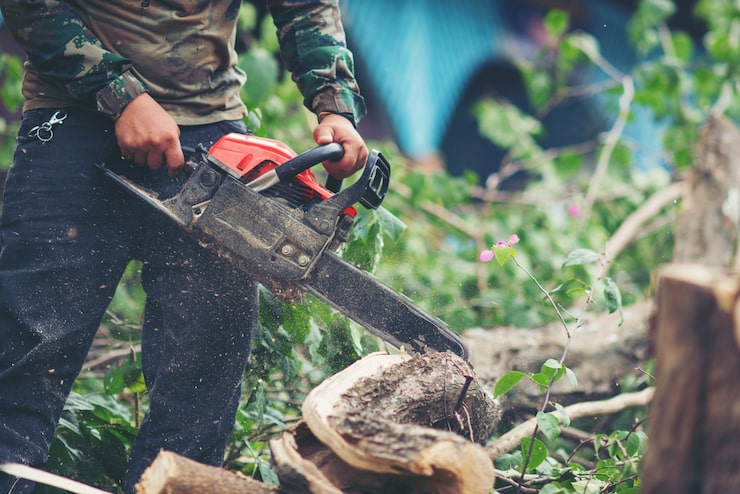 asian-man-cutting-trees-using-electrical-chainsaw_1150-5896-1