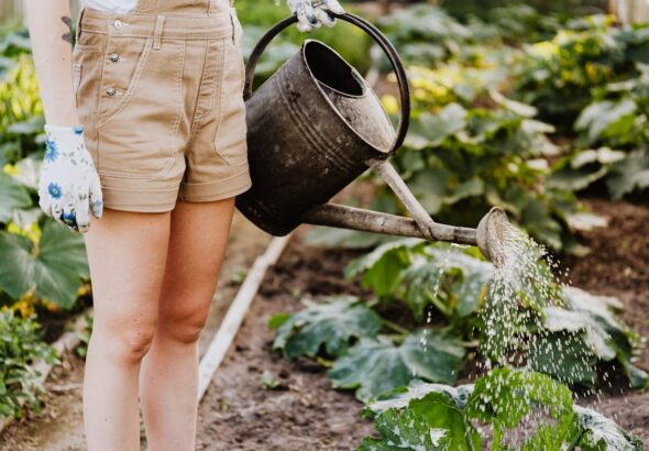 pexels-karola-g-4750270