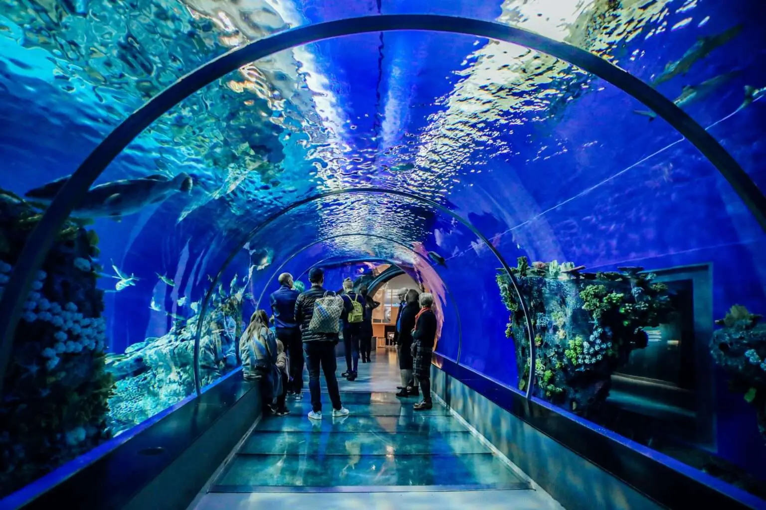 1765283310115_underwater-tunnel