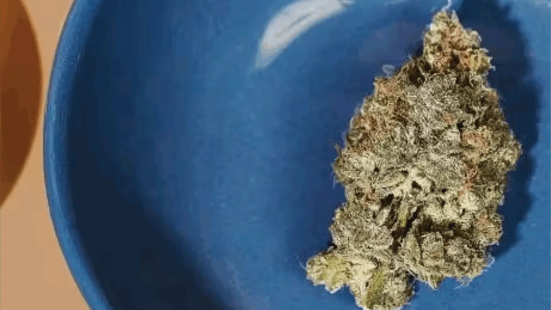 stiiizy-premium-vape-cartridges