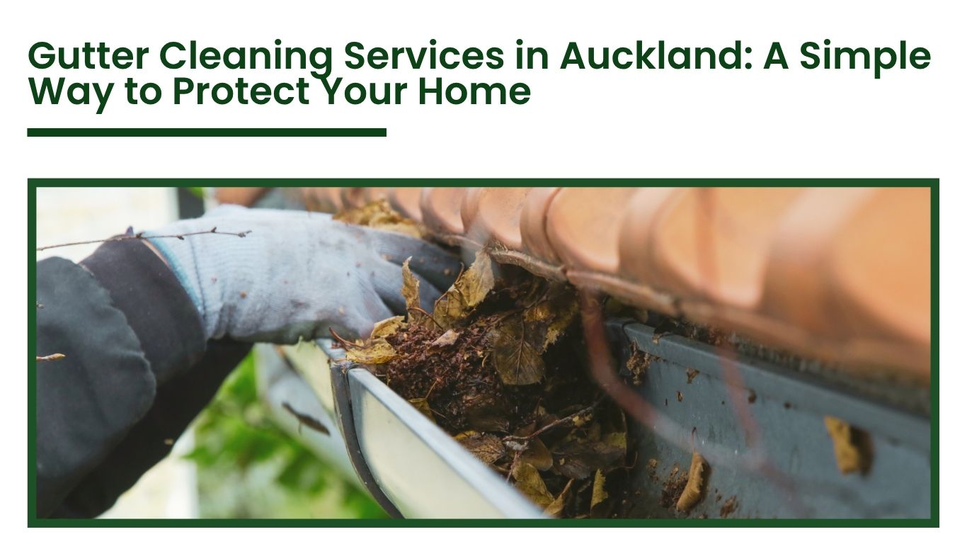 Gutter-Cleaning-Services-in-Auckland-A-Simple-Way-to-Protect-Your-Home