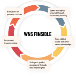 WNS-Finisible-circle