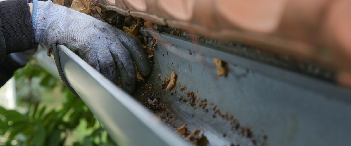 gutters-cleaned