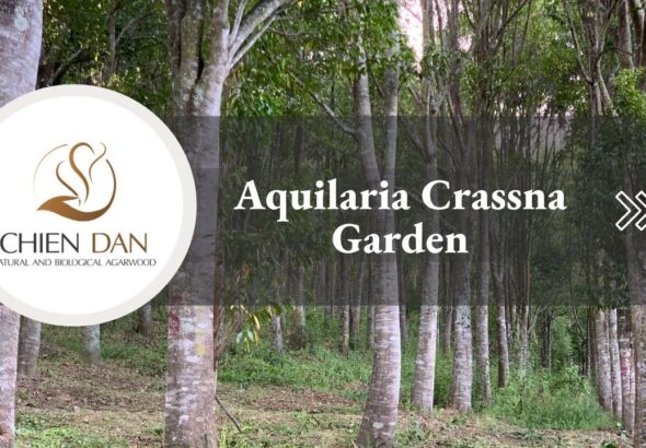 imageye___-_imgi_9_maxresdefault