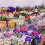 Preserved-Flower